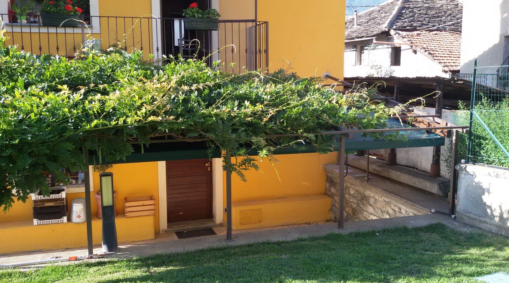 pergolato con piante