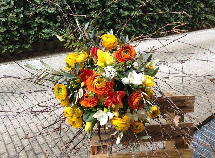 tulipani