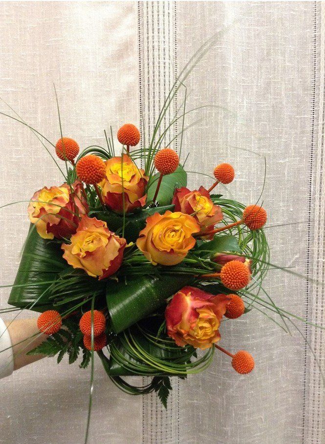 craspedia arancio