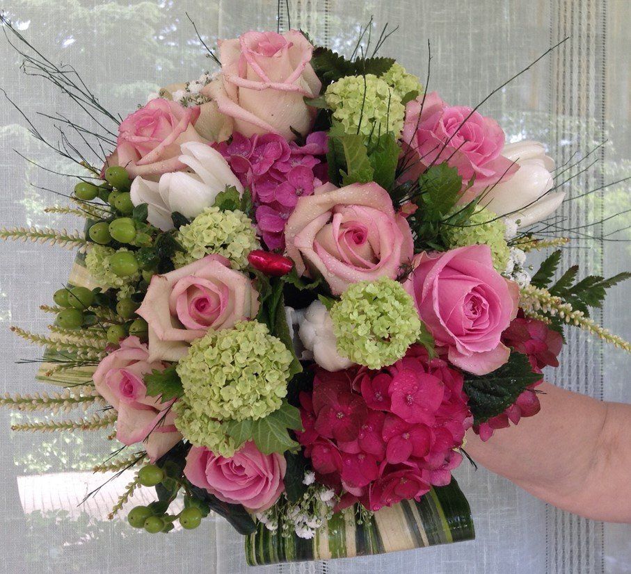 ortensie rosa