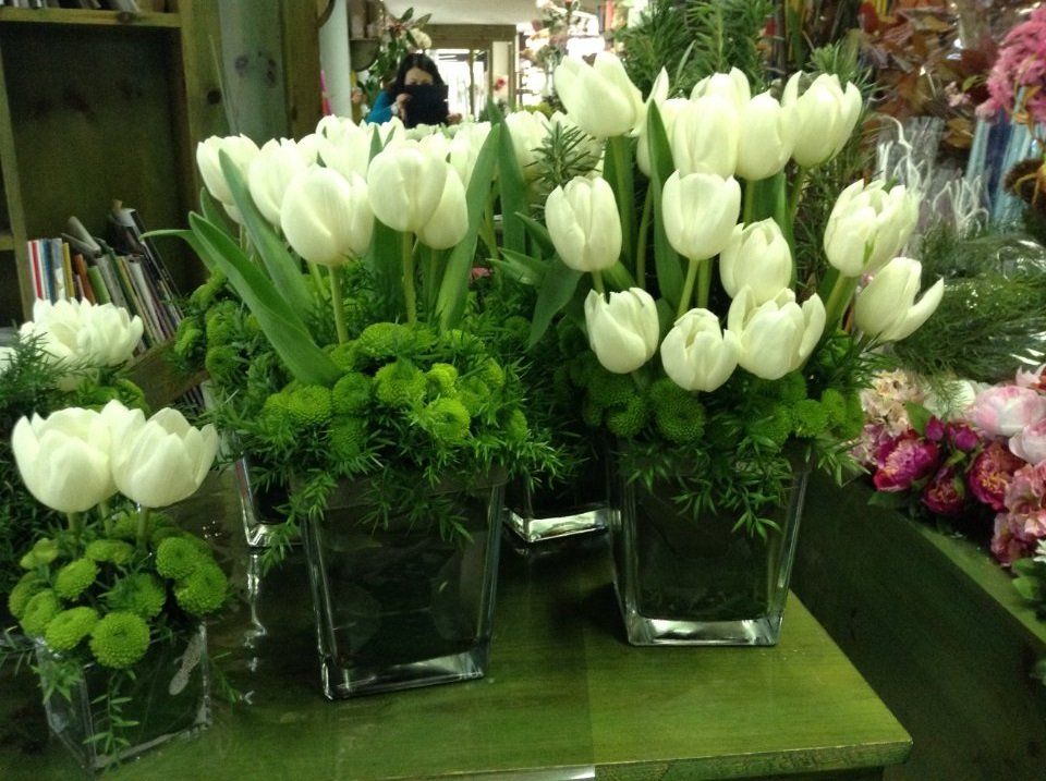 Tulipani bianchi
