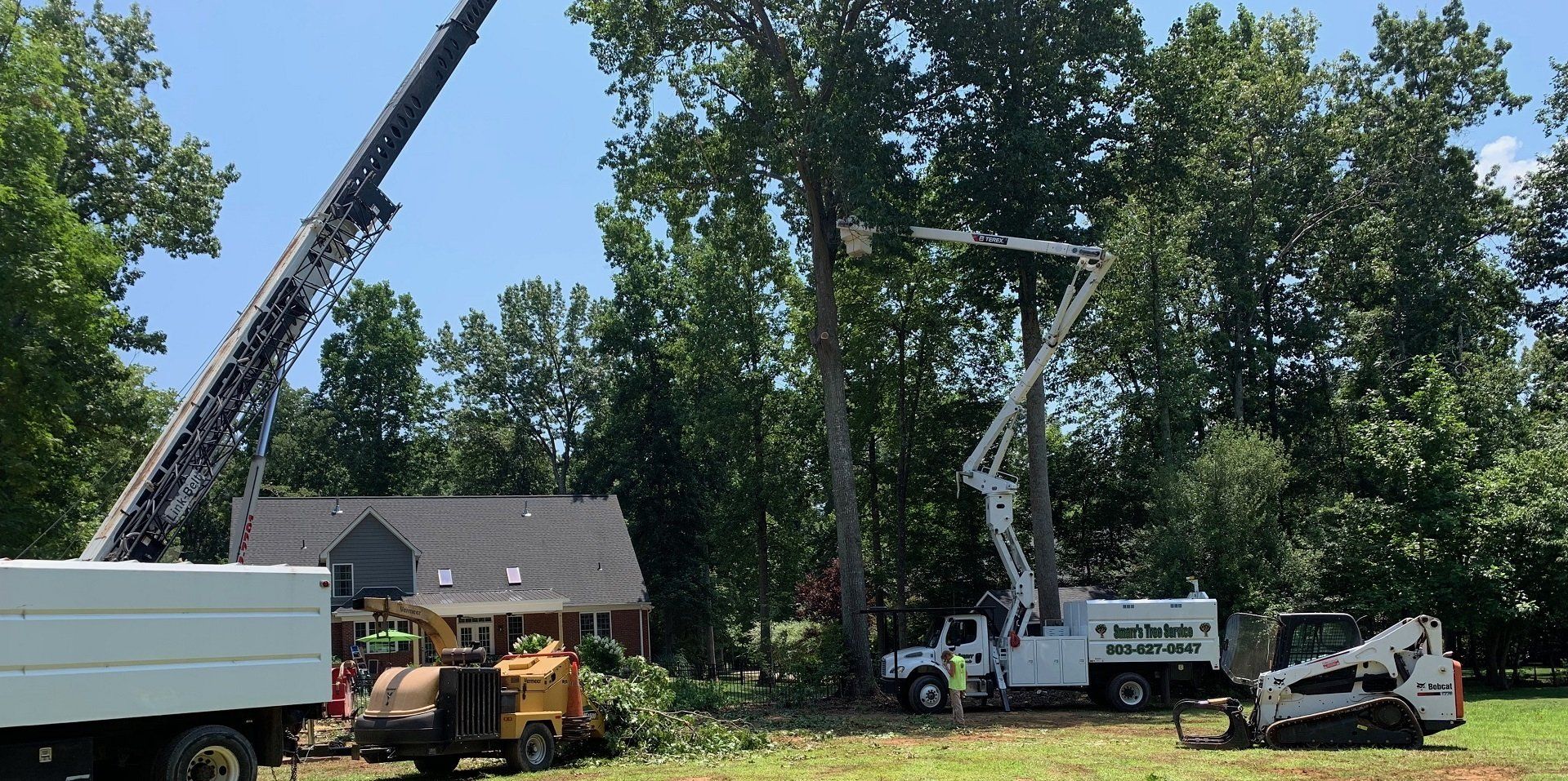 Tree Trimming — Different Kinds Of Truck in York, South Carolina