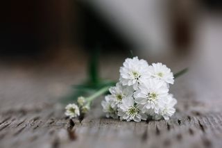 For the final journey
