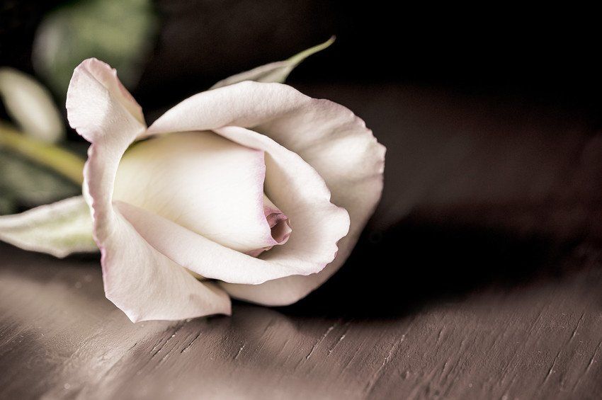 Prepaid funeral plans