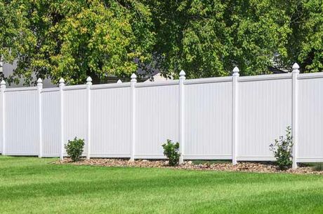 vinyl fence in verdant surrounding