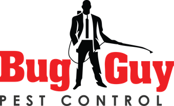 bug guy pest control