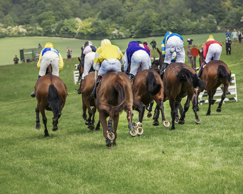 Horse races