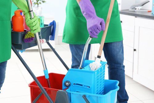 donna delle pulizie al lavoro