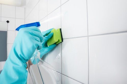 lavaggio delle mattonelle del bagno