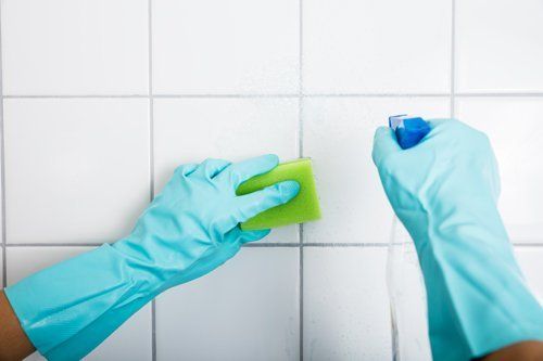 donna delle pulizie al lavoro