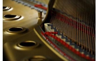 corde pianoforte