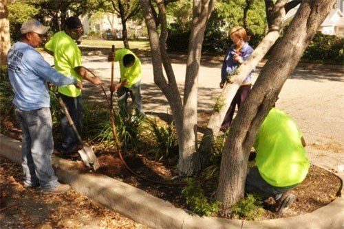 Workers landscaping parking lot island