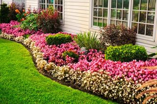 Colorful flower garden - Services in Grand Junction, CO Colorful flower garden - Services in Grand Junction, CO