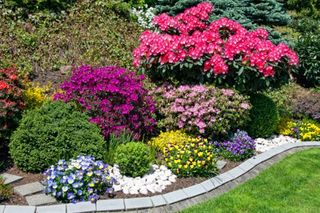 Beautiful flower garden - Services in Grand Junction, CO Beautiful flower garden - Services in Grand Junction, CO