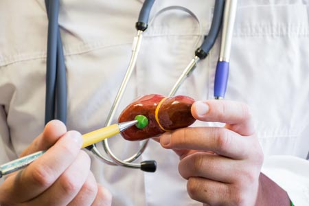 ERCP — Doctor Showing a Gallbladder in Tallahassee, FL
