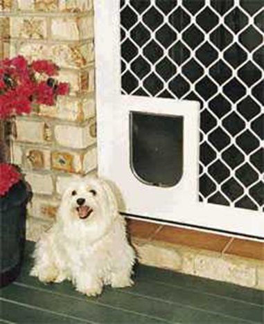 dog by door