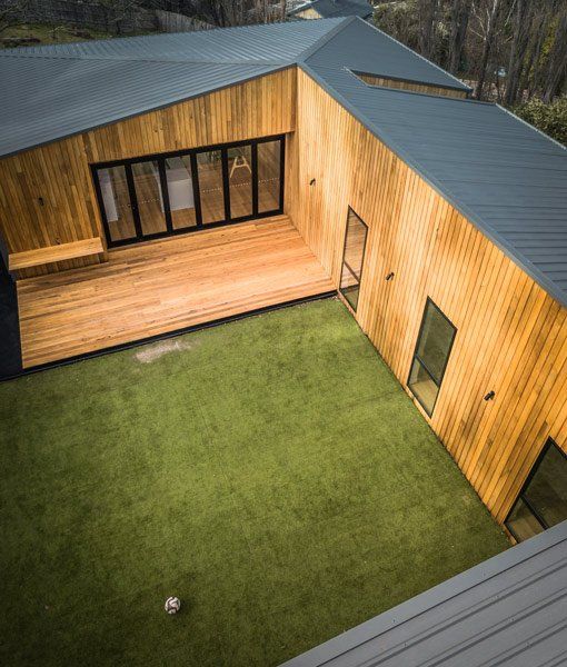 backyard grass area