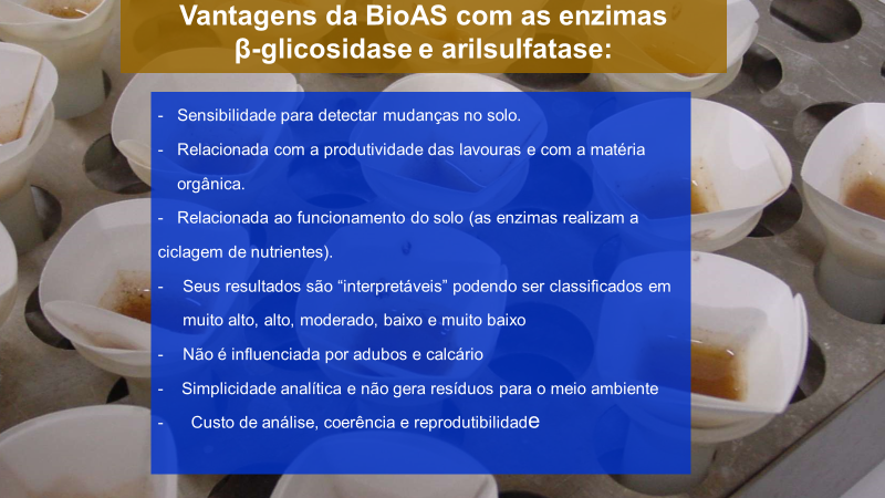 Um monte de xícaras brancas com as palavras vantagens da bioas com as enzimas