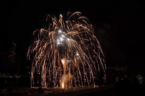 spettacolo pirotecnico a forma di salice