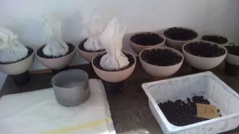 fase di allestimento di uno spettacolo pirotecnico 10