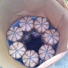 preparazione di candelotti per spettacolo pirotecnico 4