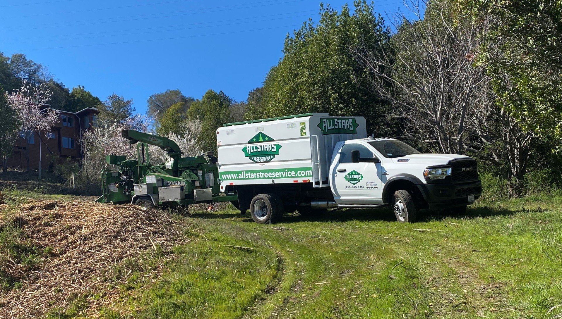 Tree Clearing — San Rafael, CA — All Stars Tree Service Tree Clearing — San Rafael, CA — All Stars Tree Service