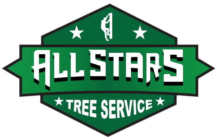 Green logo for All Stars Tree Service, featuring text and a climbing figure.