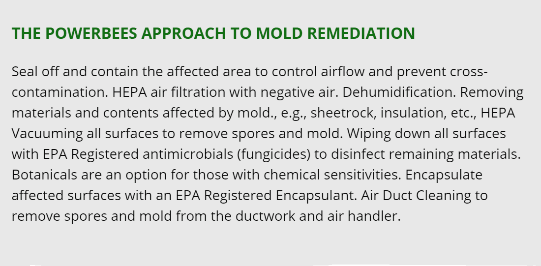 arlington mold removal