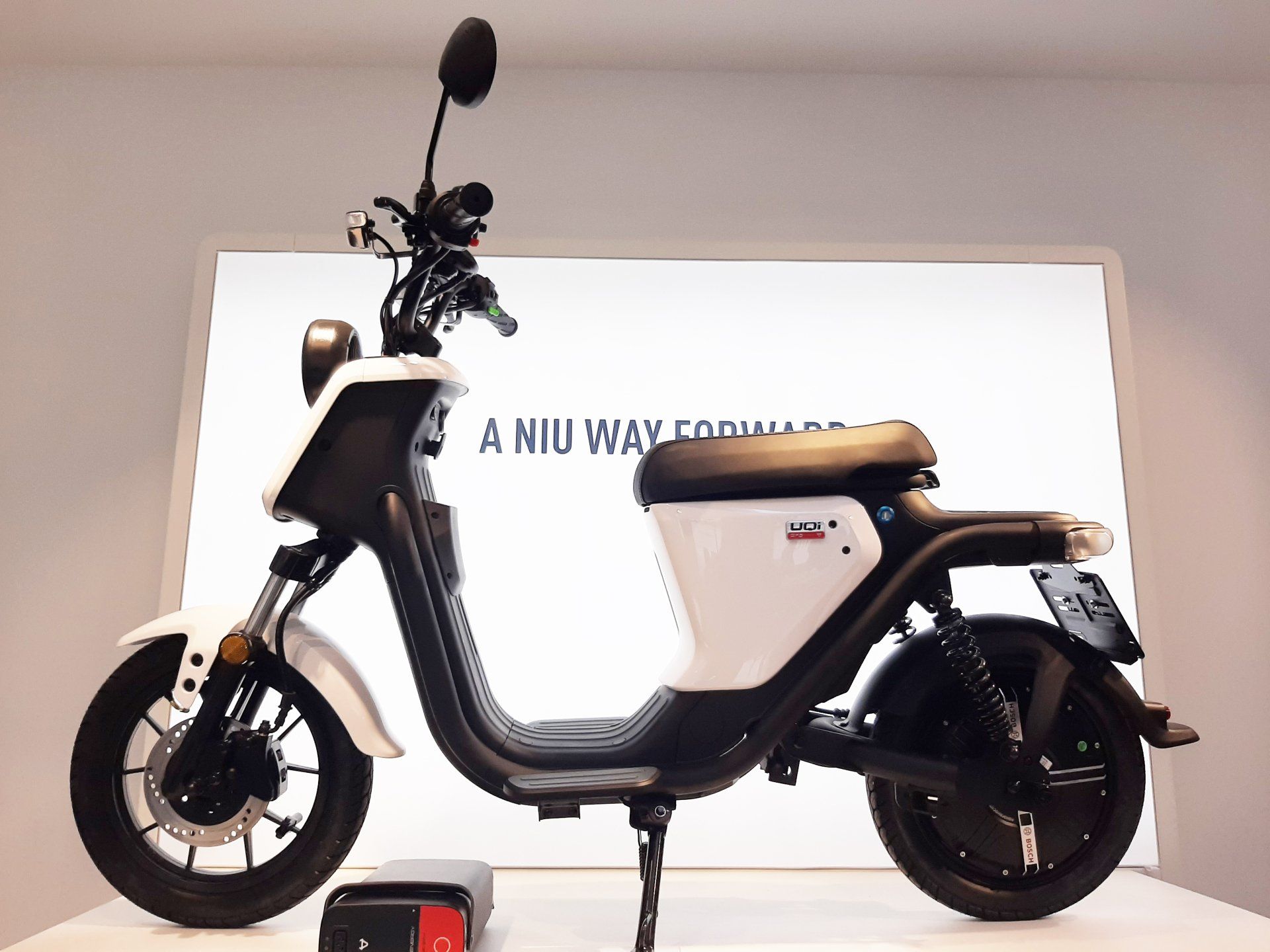Niu Antwerpen