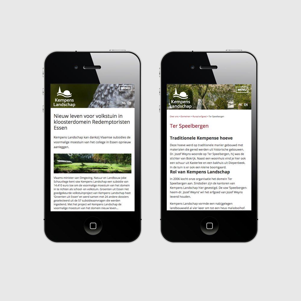Webdesign Kempens Landschap