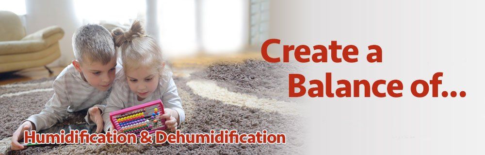Humidity Control Service in Fair Haven & New Baltimore, MI Humidity Control Service in Fair Haven & New Baltimore, MI