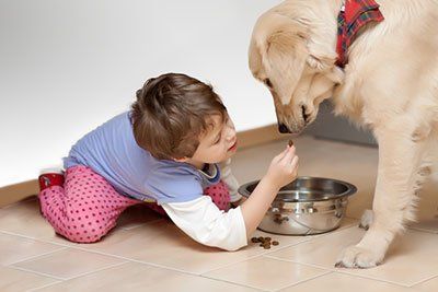 In-floor Heating Services in Fair Haven & New Baltimore, MI In-floor Heating Services in Fair Haven & New Baltimore, MI