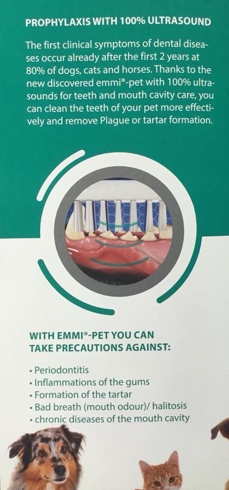 emmi pet