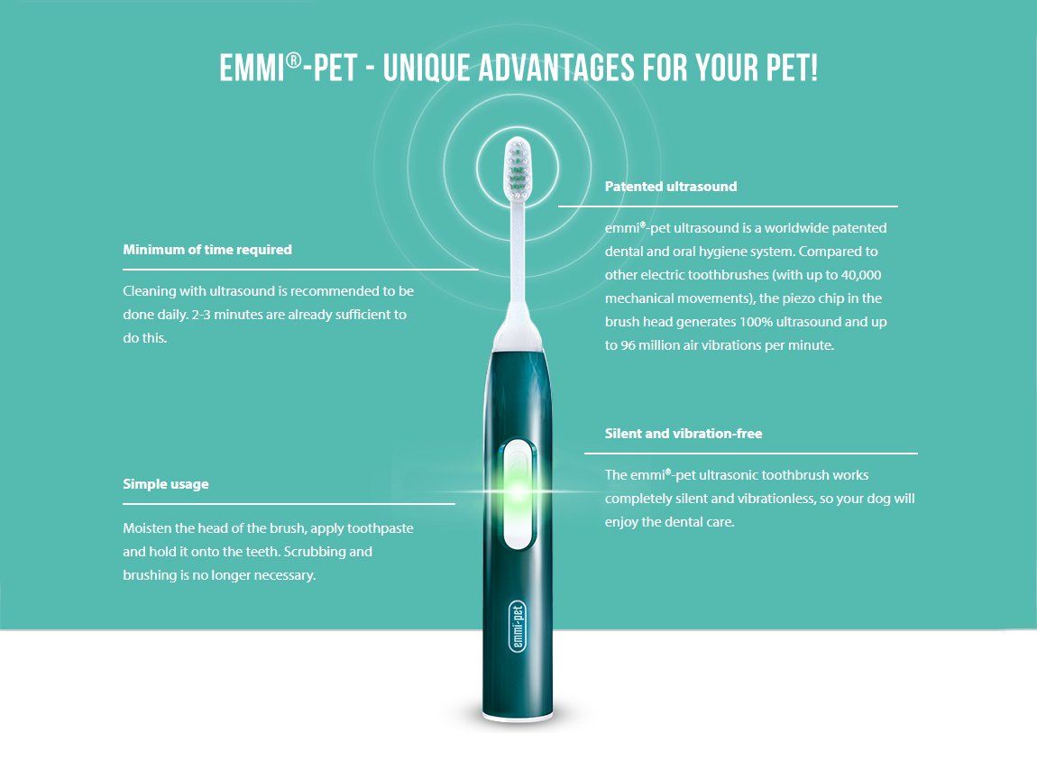 emmi pet