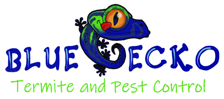  blue gecko termite and pest control