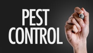 Pest Control for Workplace | Witchita, KS | Hawks Pest Control Pest Control for Workplace | Witchita, KS | Hawks Pest Control