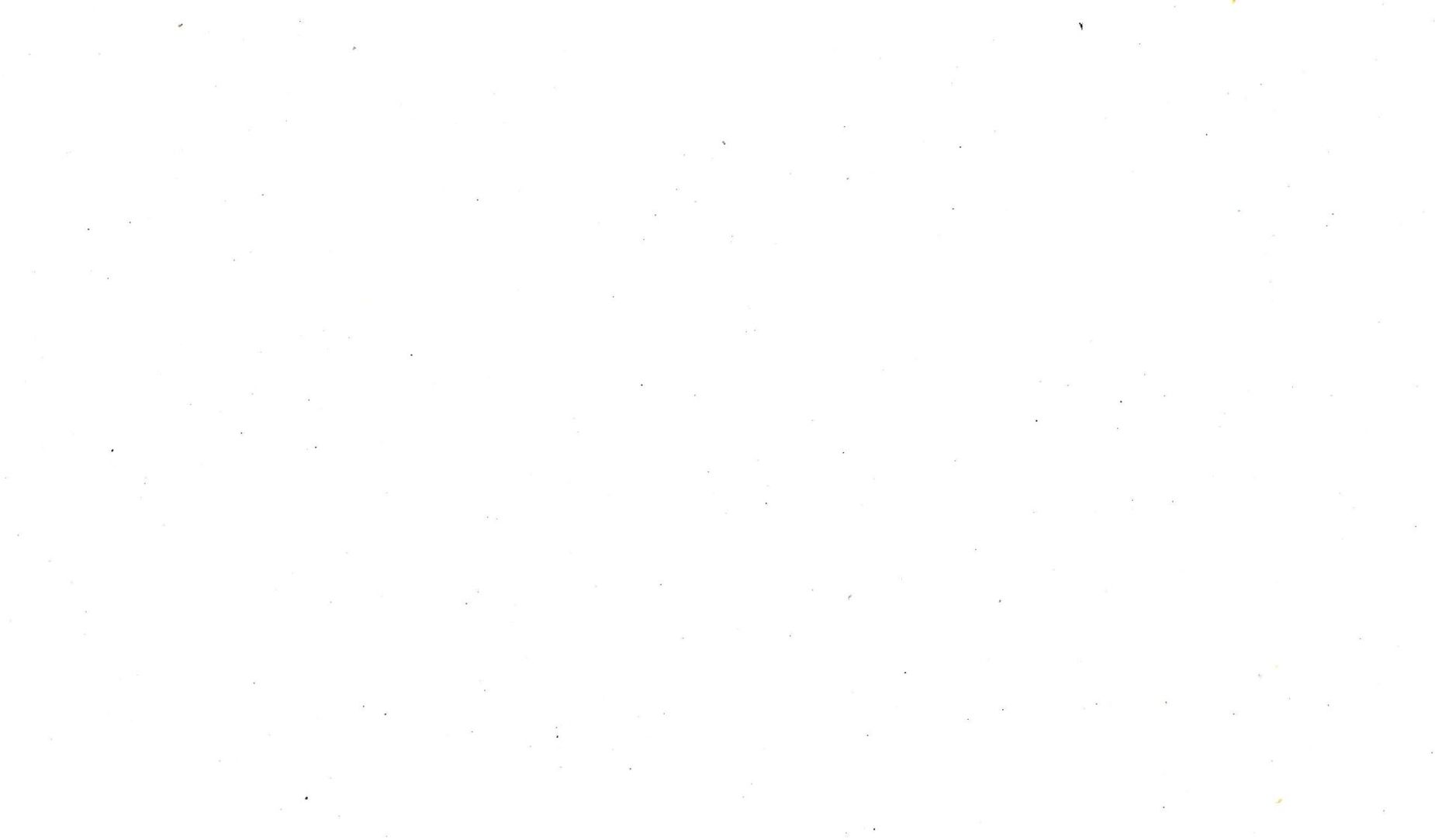 A white background with a lot of small dots on it