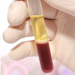 A person is holding a test tube filled with red liquid.