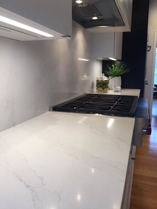 Modern kitchen with white countertop, black stovetop, and a small plant on the back counter.