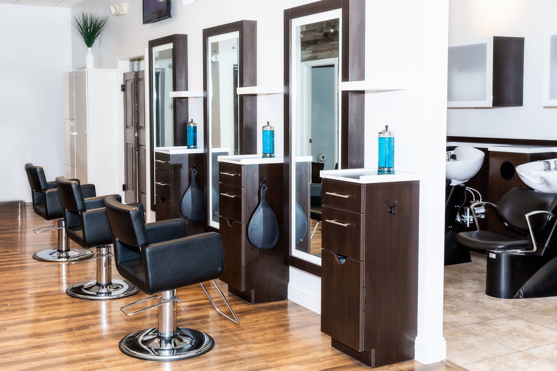 Anthony David Salon