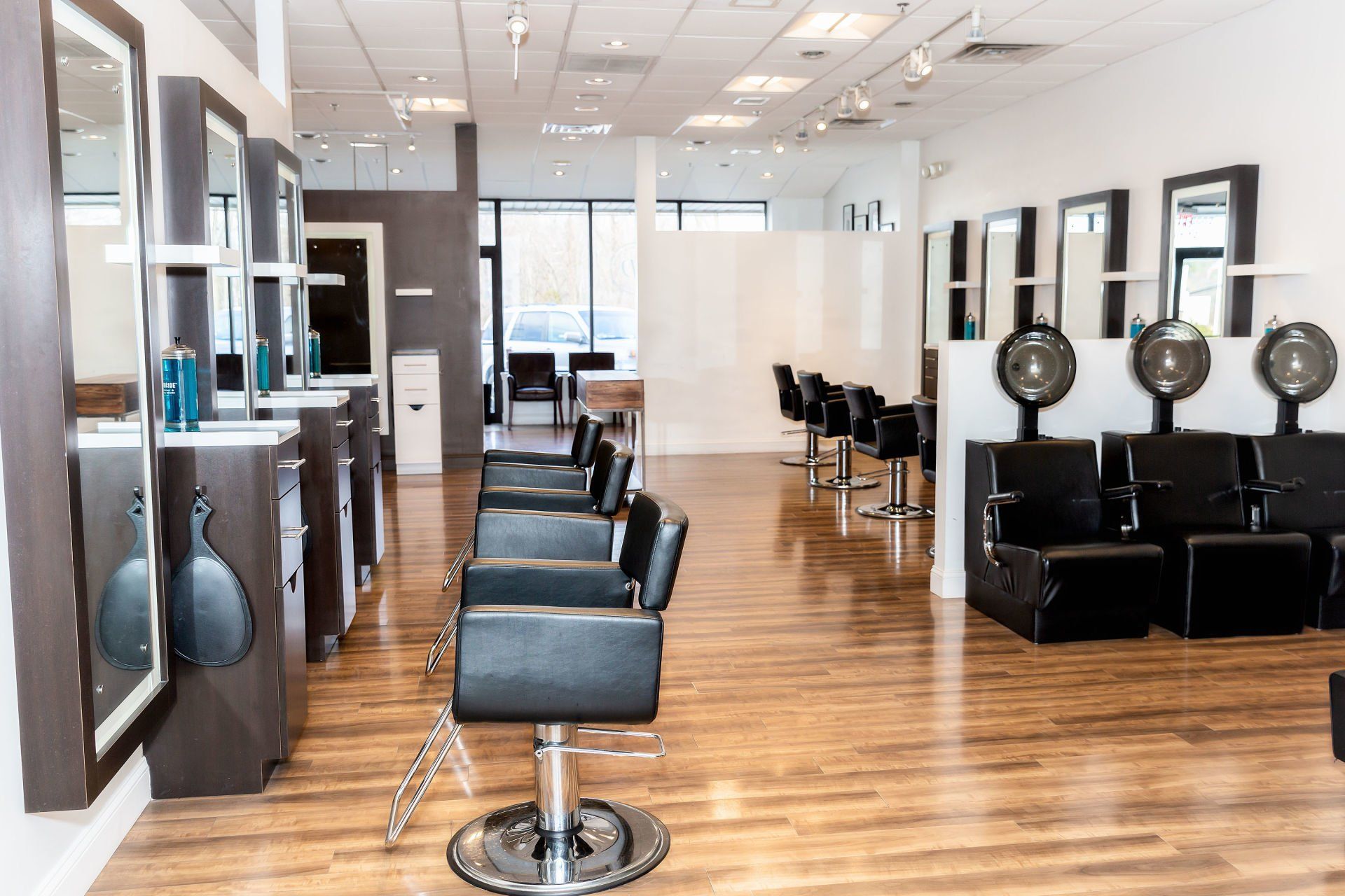 Anthony David Salon