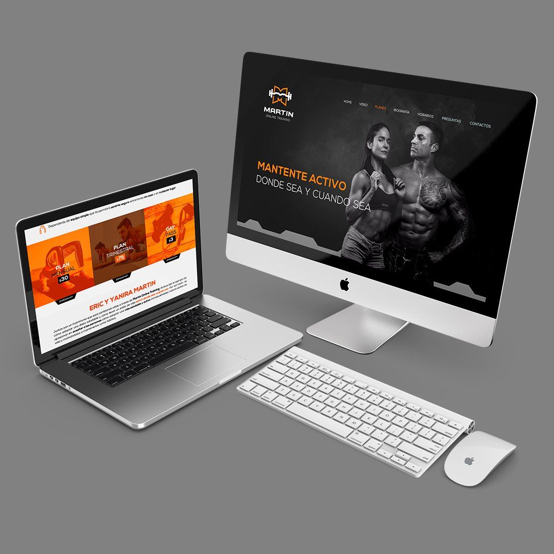 VERTICAL LINK PORTFOLIO - Website - MARTIN TRAINING