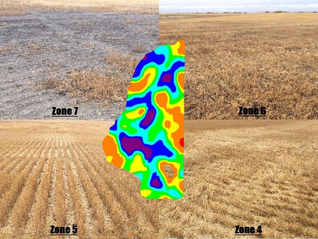 A field divided into four labeled zones (4, 5, 6, 7) surrounding a central heat map showing varying levels of crop density.