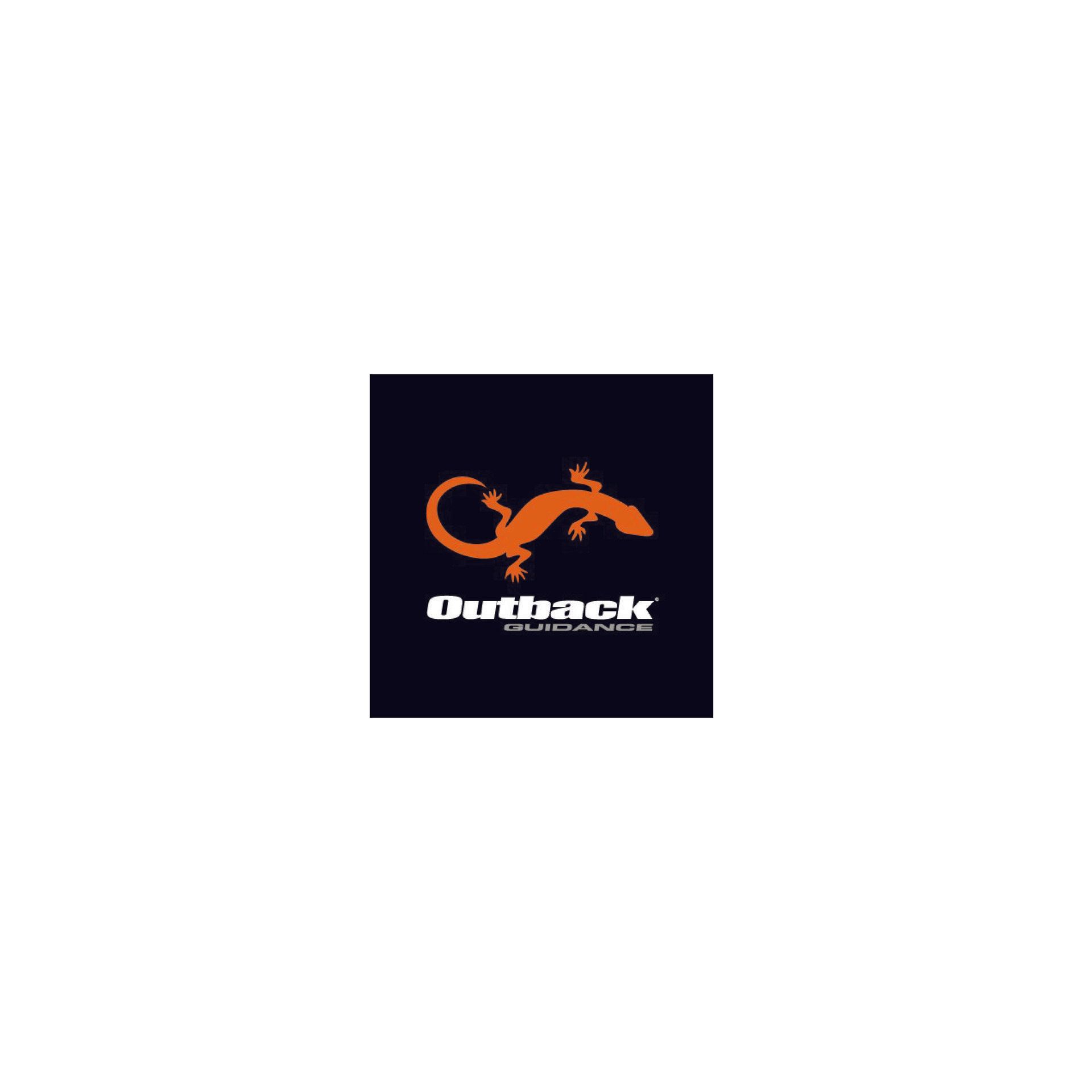 An orange gecko silhouette above the white text