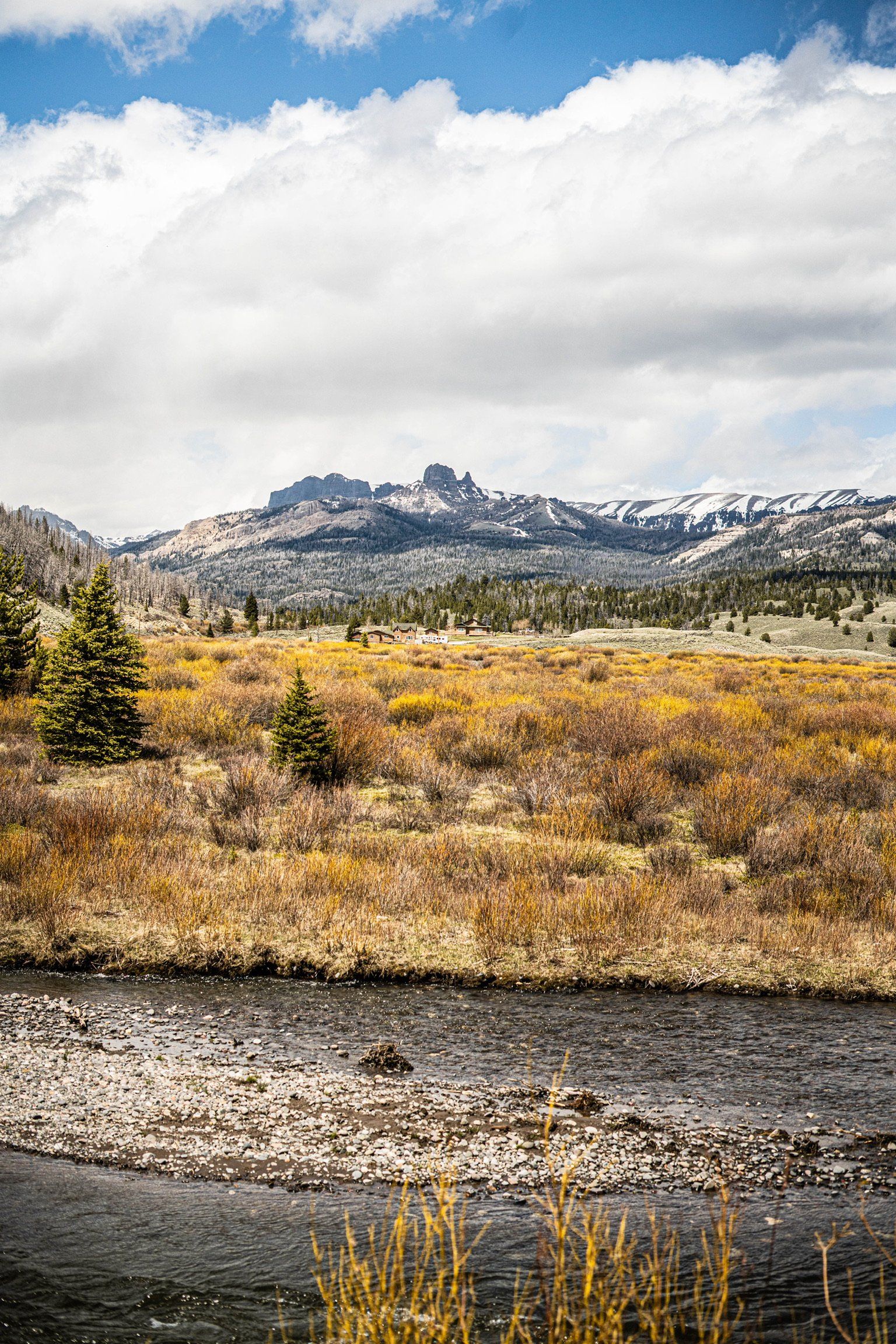 brown trout, cutthroat trout, fly fishing, guiding, Wyoming, dry flies