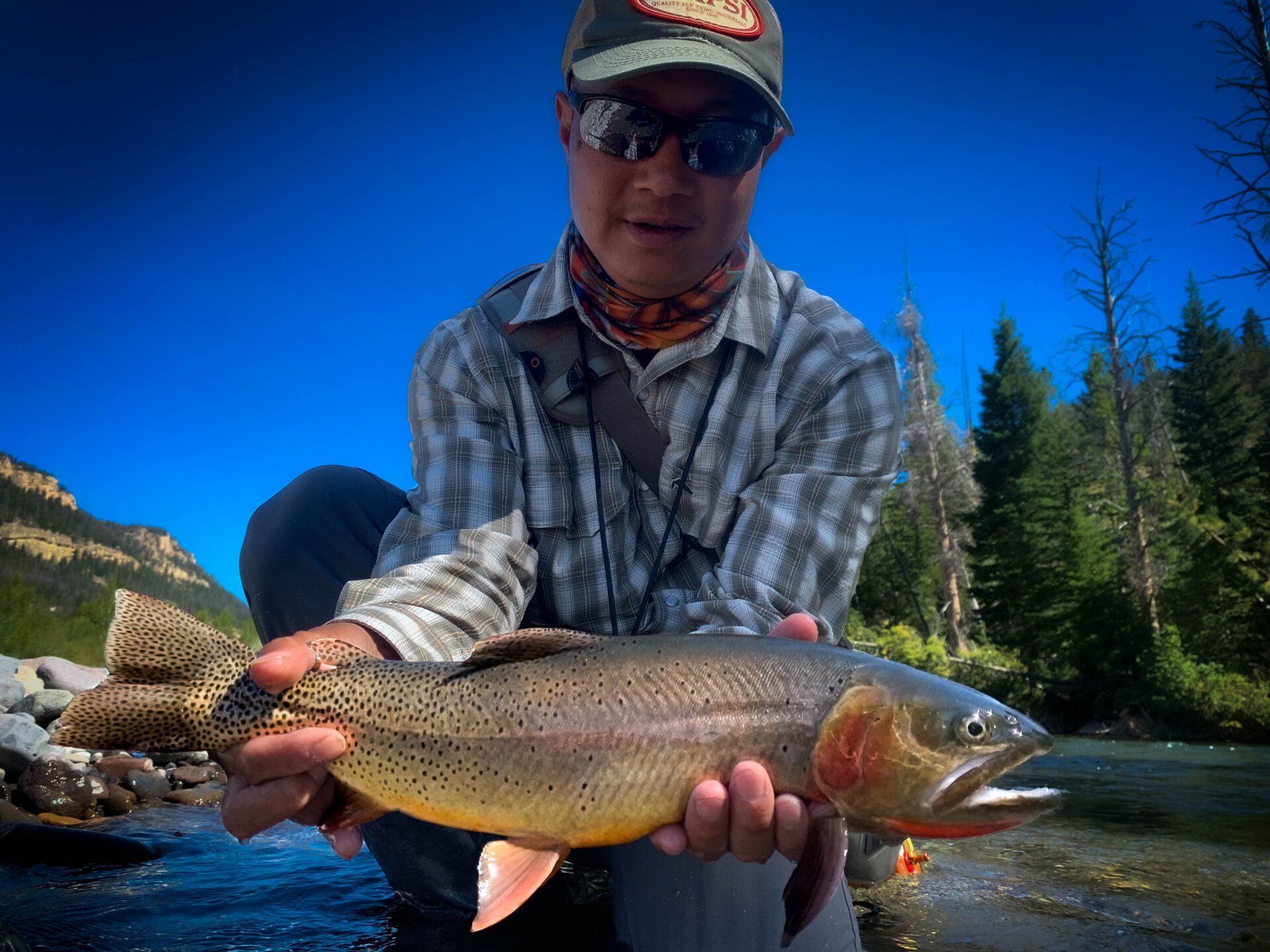 brown trout, cutthroat trout, fly fishing, guiding, Wyoming