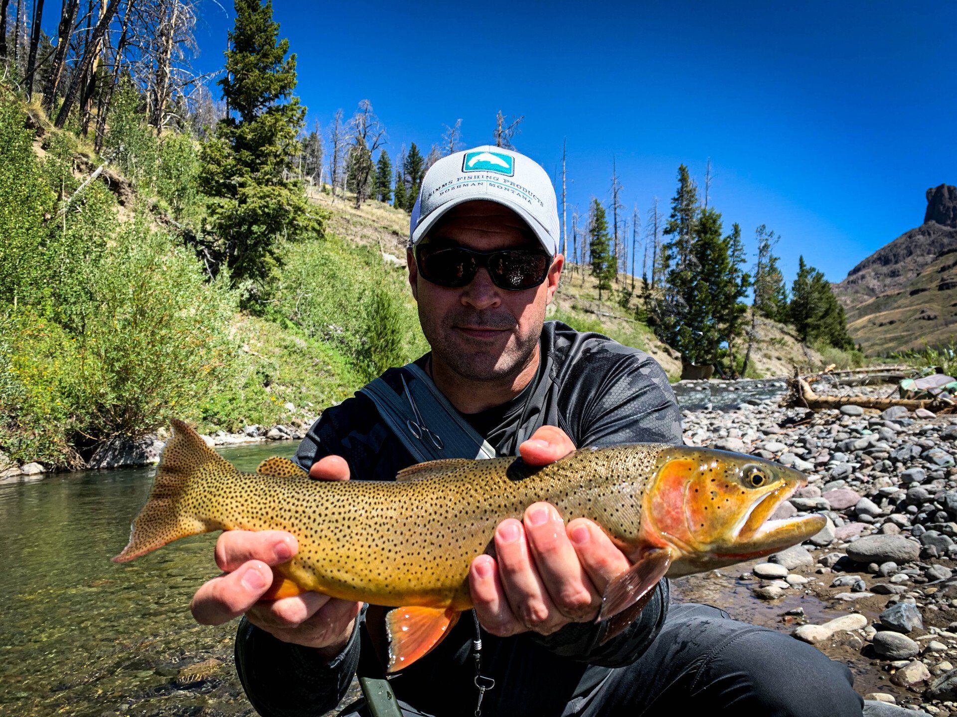 brown trout, cutthroat trout, fly fishing, guiding, Wyoming, dry flies