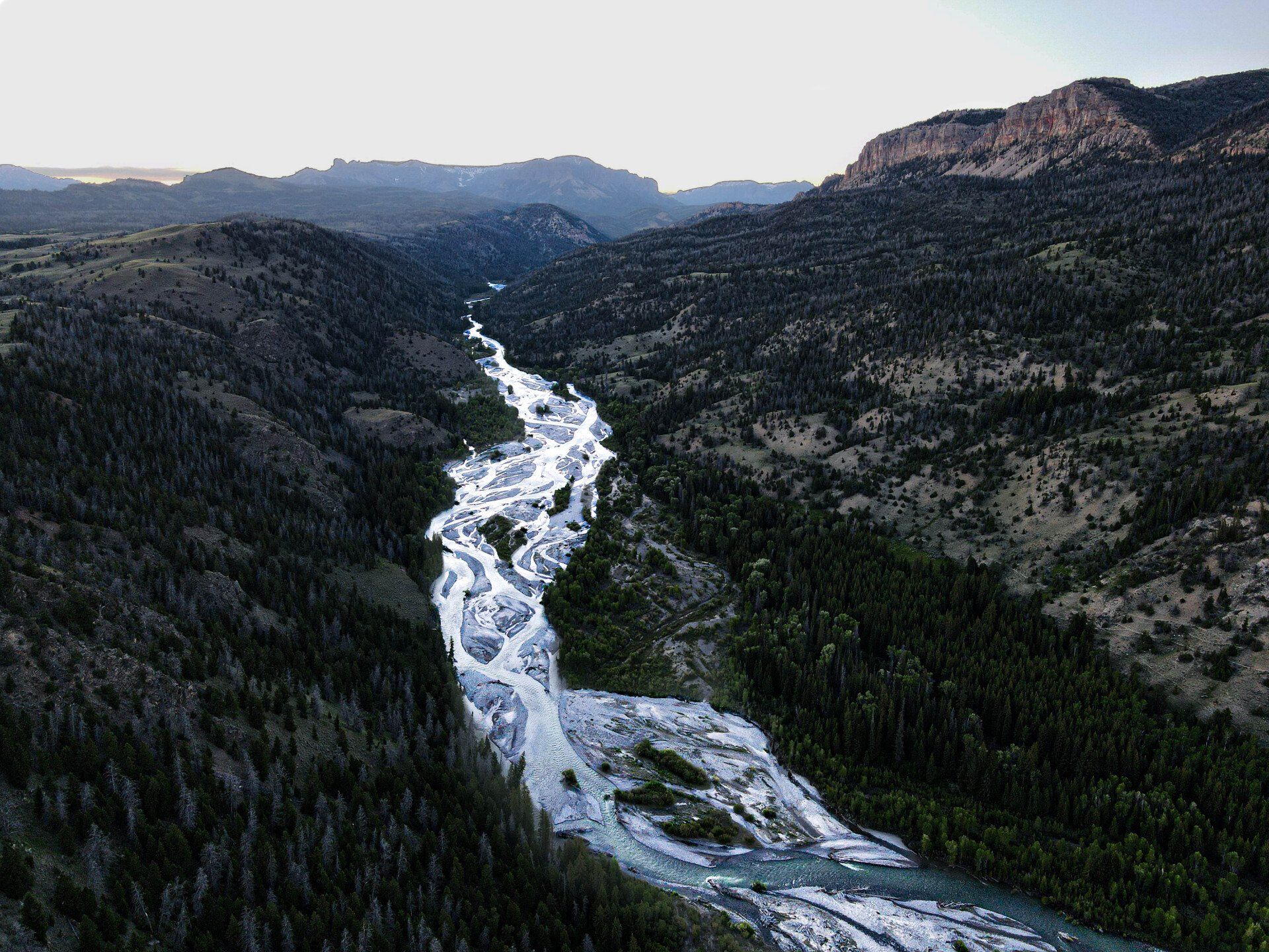 brown trout, cutthroat trout, fly fishing, guiding, Wyoming