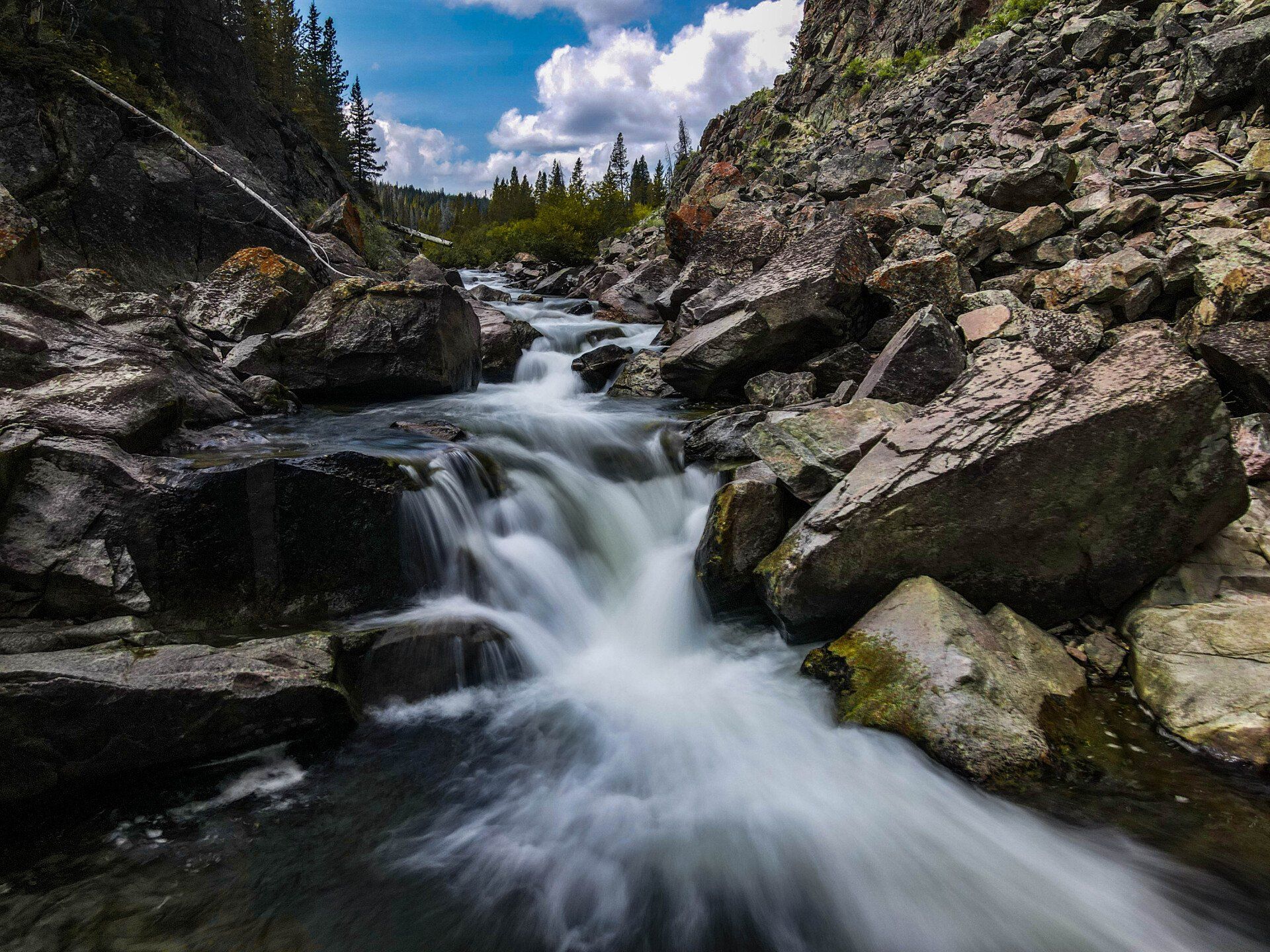 brown trout, cutthroat trout, fly fishing, guiding, Wyoming