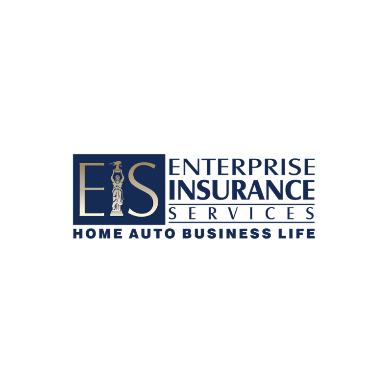 Logo for Enterprise Insurance Services; blue text, includes 